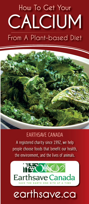 ESC-Brochure-Calcium-web