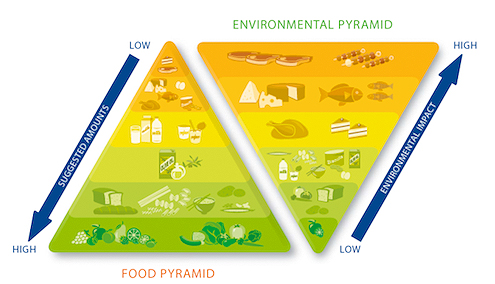 earthsave-foodpyramid