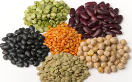 earthsave-legumes