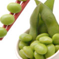What are Recent Studies on Soy?