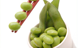 What are Recent Studies on Soy?