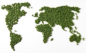 worldpeas-300