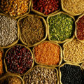 The Protein Myth – Where do you get your protein?