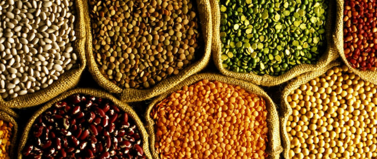 The Protein Myth – Where do you get your protein?