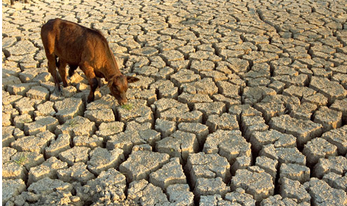 World water Crisis Demands Diet Change
