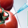 WHY SAY NO TO GMOs?