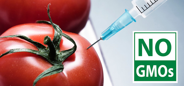 WHY SAY NO TO GMOs?