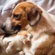 Why you need to show support for Bill C-246
