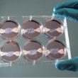 Could Lab Meat Be The Answer?