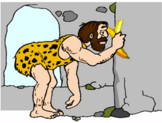 We’ve Outgrown Omnivorism