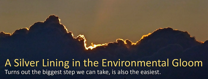 A Sustainable Silver Lining