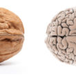 Can We End Alzheimer’s?