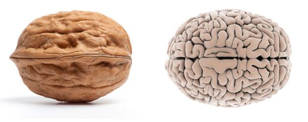 Can We End Alzheimer’s?