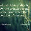 Meat is a Social Justice Issue