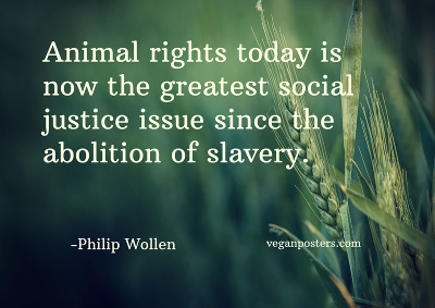 Meat is a Social Justice Issue