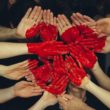Join our volunteer Board of Directors