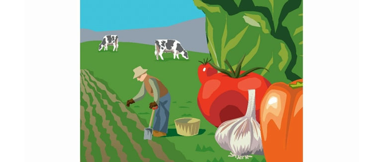 Organic Grocer