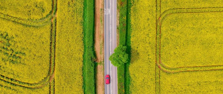 Canadian government invests in plant-based food innovation